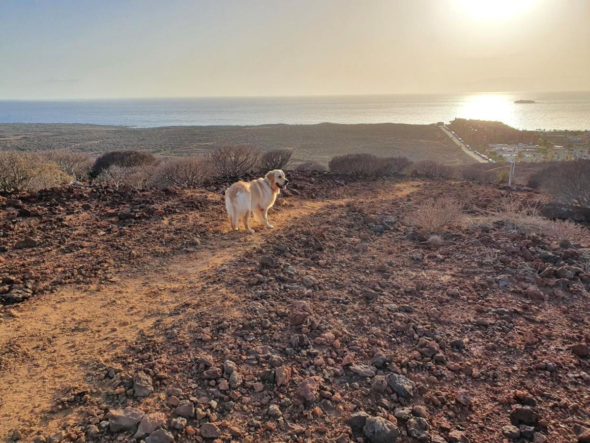 Maravilloso Y Tranquilo Alojamiento En El Palm-Mar Kültér fotó